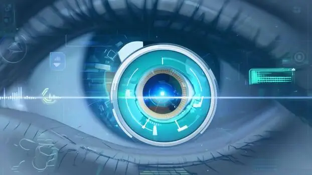 Video Surveillance Services